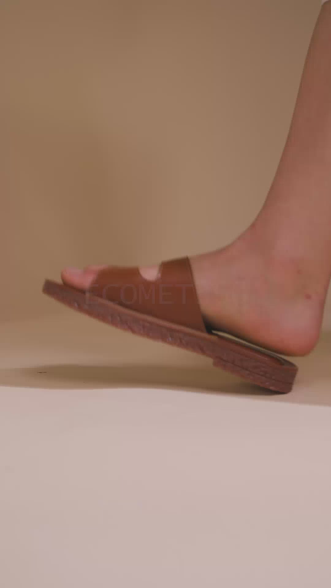Solea